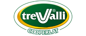 ORGANIZZAZIONE-8-TREVALLI
